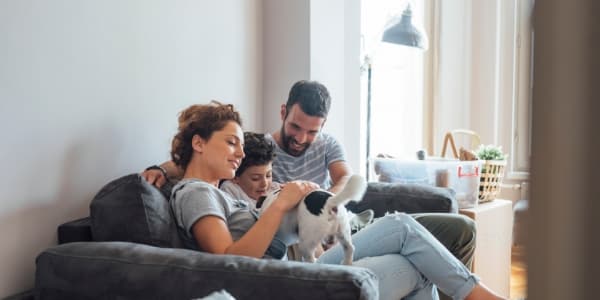 Residential Pest Control